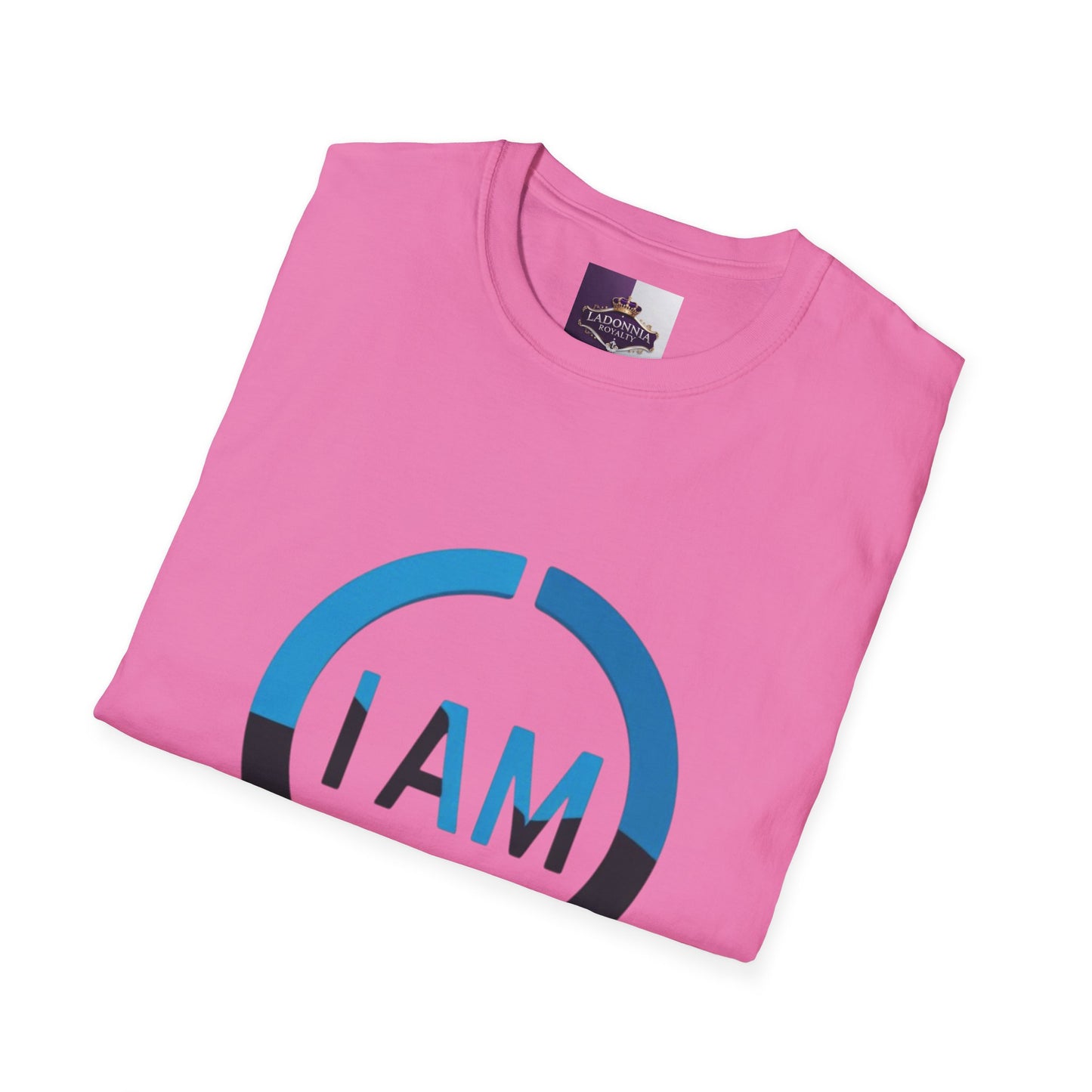 Empowerment T-Shirt | Motivational Tee for Victors | Unisex Softstyle T-Shirt | Inspirational Gift | Support & Awareness Wear